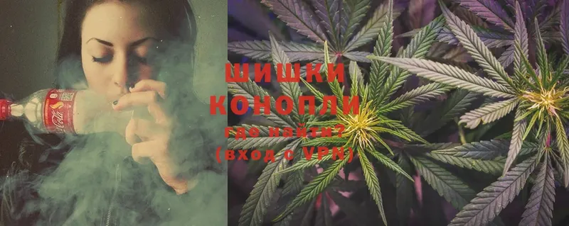 Бошки марихуана SATIVA & INDICA  Новозыбков 